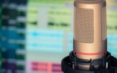 Voice Buyers Guide to Describing the Sound you Want: from a Voice Actors Perspective